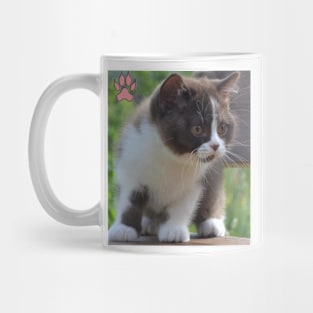 The black cute cats Mug